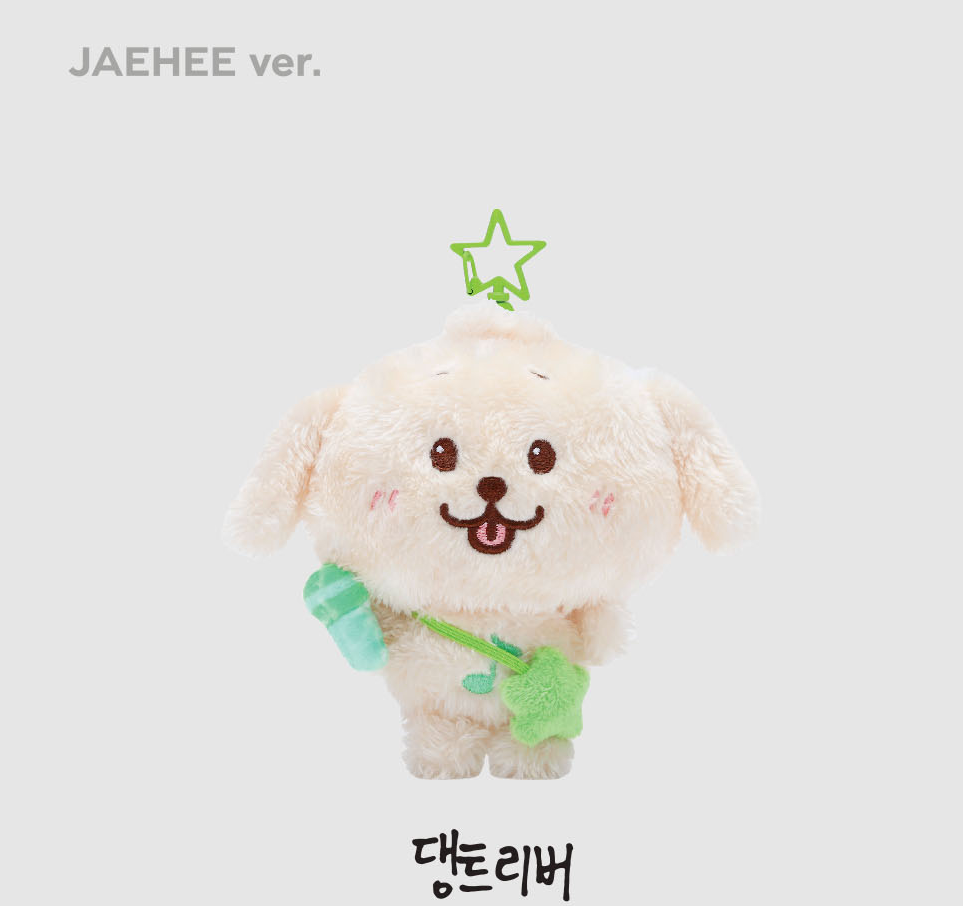 NCT WISH - 2024 NCT WISH 1st Mini Album 'STEADY' WISH DOLL
