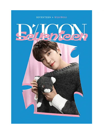 DICON D’FESTA MINI EDITION : SEVENTEEN