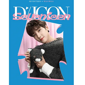 DICON D’FESTA MINI EDITION : SEVENTEEN