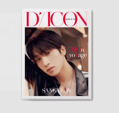 DICON ISSUE N°13 : THE BOYZ BOn voYage