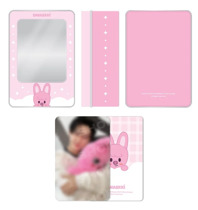 [PRE ORDER] STRAY KIDS - dominATE : celebrATE WORLD TOUR OFFICIAL MD SKZOO PHOTOCARD TINCASE