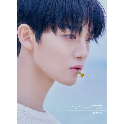 배진영